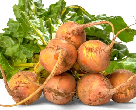Golden Beets
