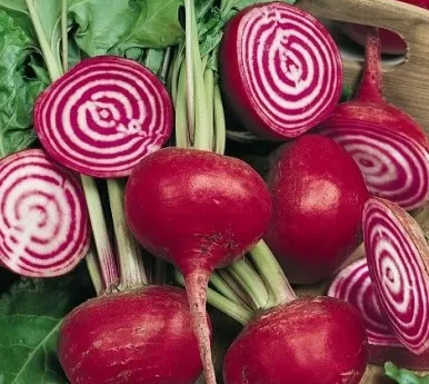 Chioggia Beets (Candy Stripe)