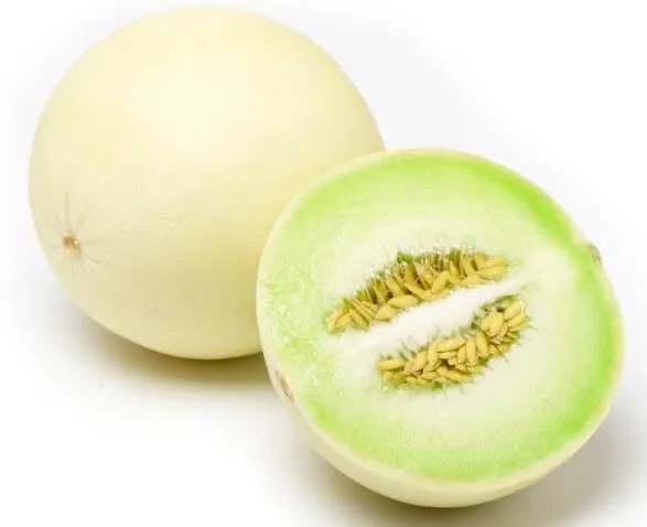 Green-Fleshed Honeydew Melon
