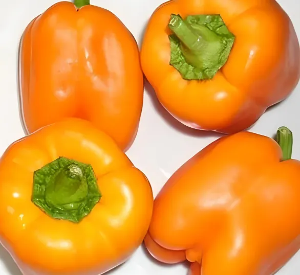 Orange Bell Peppers