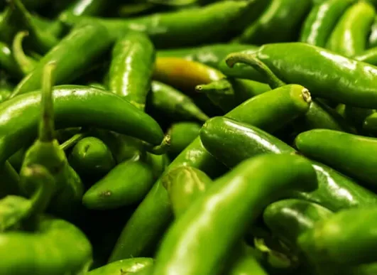 Anaheim Peppers