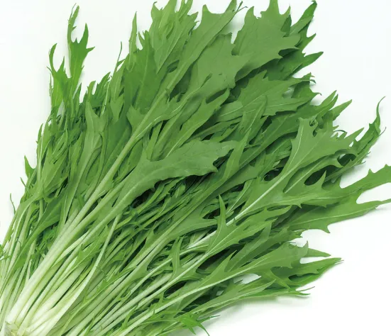 Mizuna Greens (Japanese Mustard)