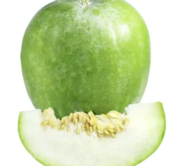 Ash Gourd (Winter Melon)