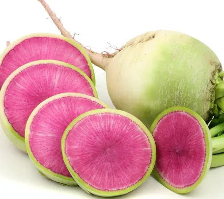 Watermelon Radish