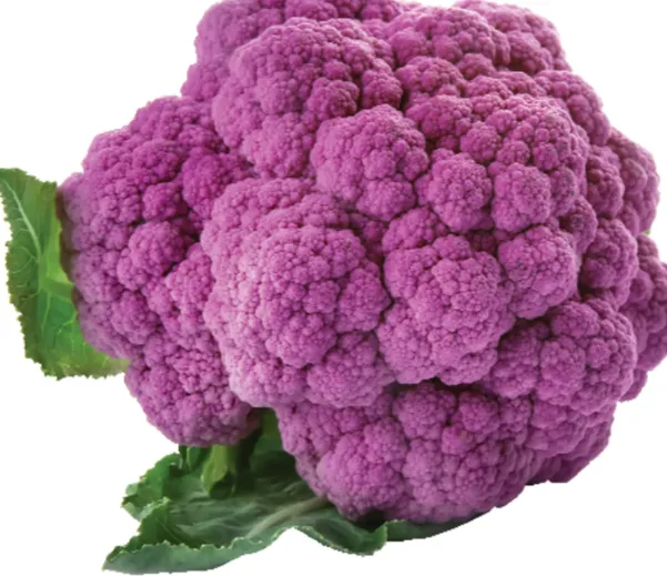 Purple Cauliflower
