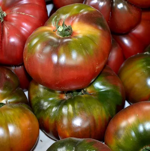 Heirloom Black Krim Tomatoes
