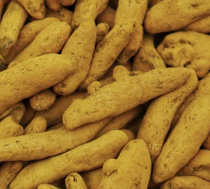 Fresh Turmeric Finger (Whole)