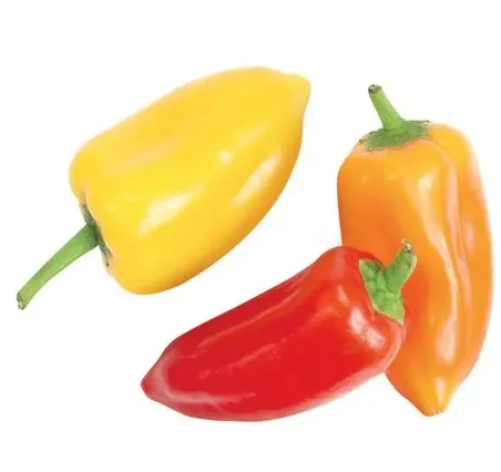 Amphawa Bell Peppers (Mini Sweet Peppers)