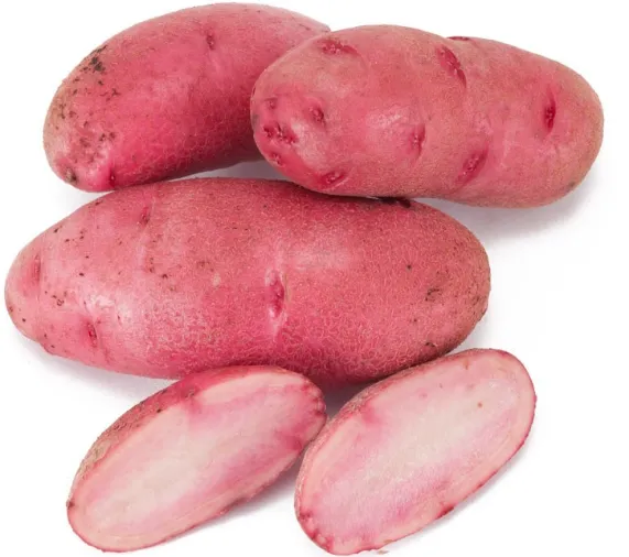 Heirloom Fingerling Potatoes
