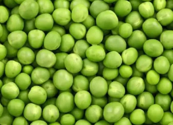 Canned Green Peas
