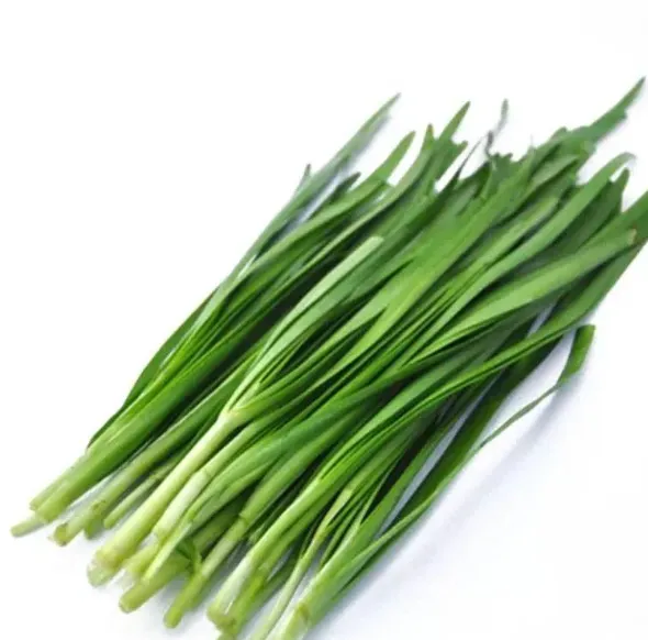 Fresh Garden Chives