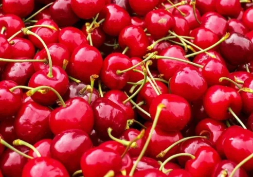Premium Cherries