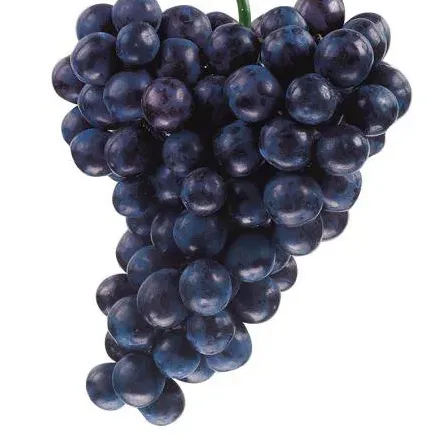 Premium Concord Grapes