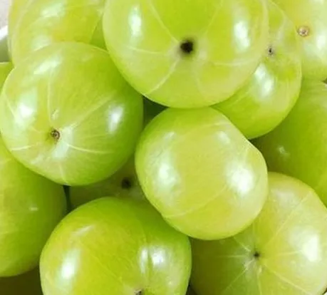 Premium Amla
