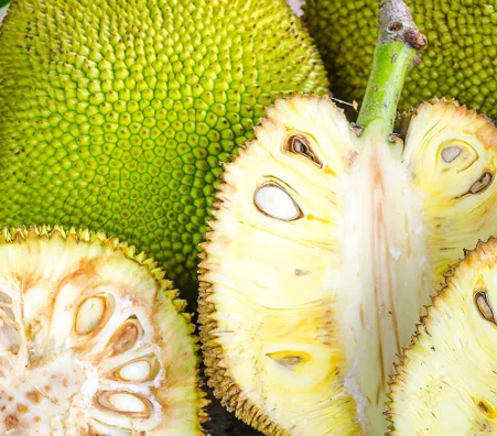 Premium Jackfruit