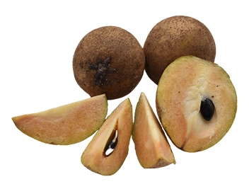 Sapodilla (Sawo)